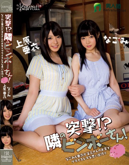 SIRO-4047